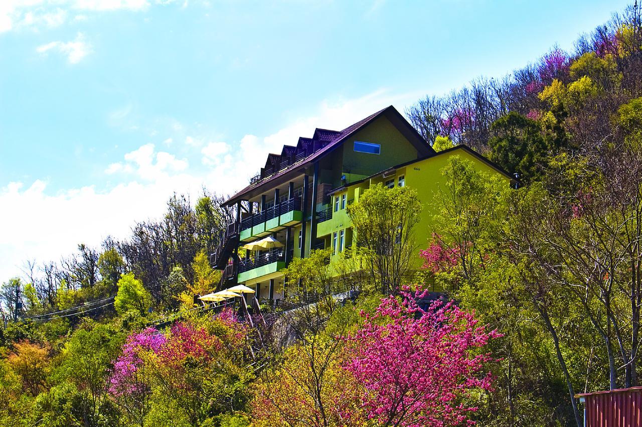 Sunnydale B&B Renai Exteriör bild